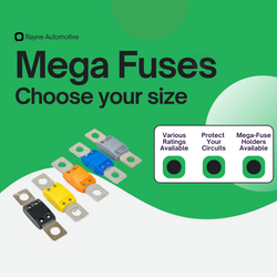 Mega Fuse 100A — For Victron Lynx Distributor
            